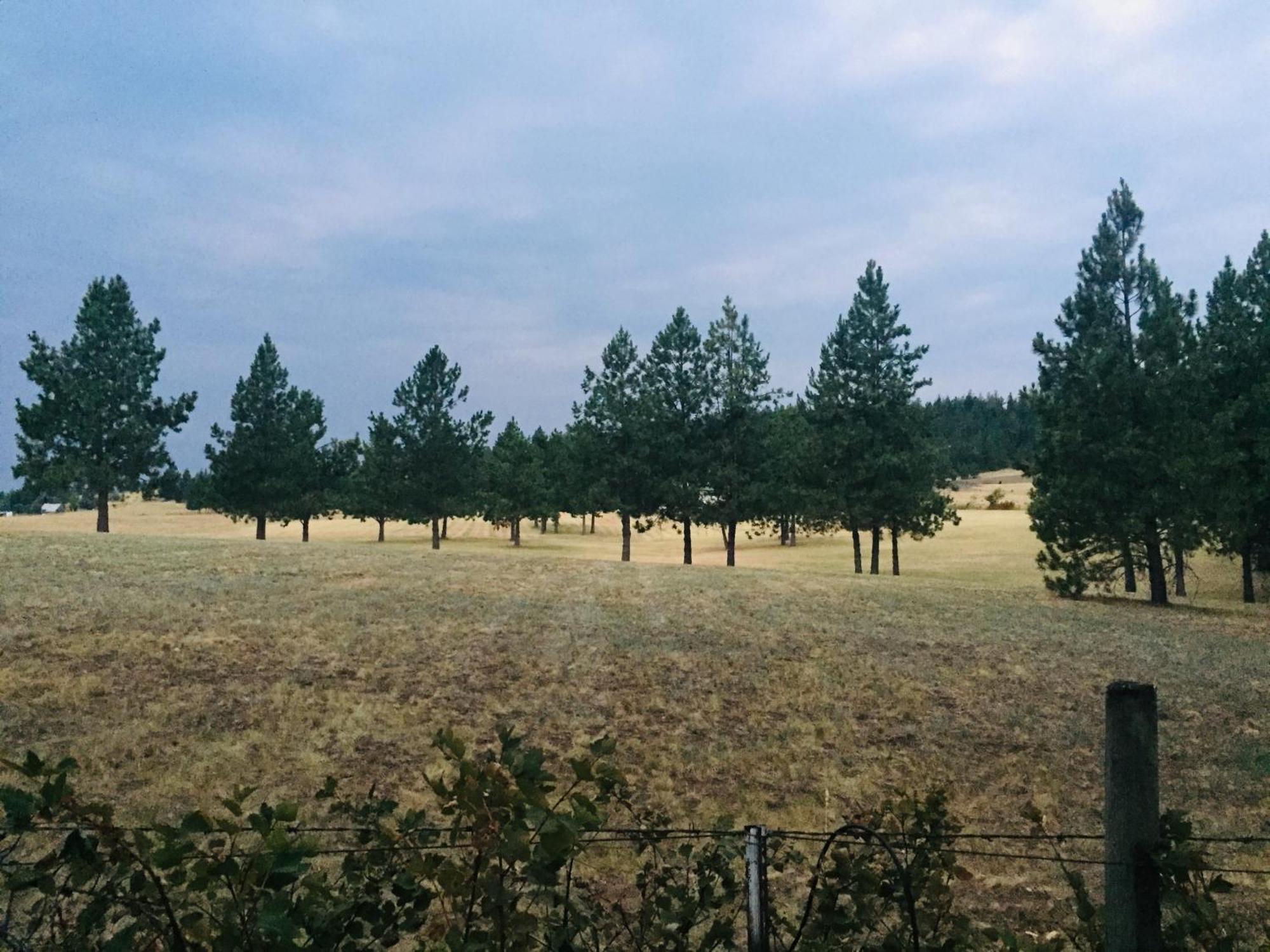 The Silverwood Lodge Athol Esterno foto